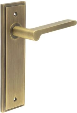 Blade Pattern Lever Handle On A Large Rectangular Backplate - Antique Brass (Lacquered)