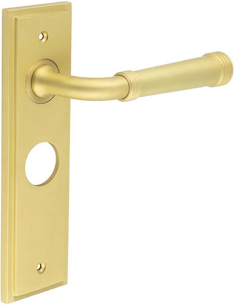 Classic Pattern Lever Handle With Ring Detail On A Large Rectangular Backplate - Satin Brass (Lacquered) - Image 4