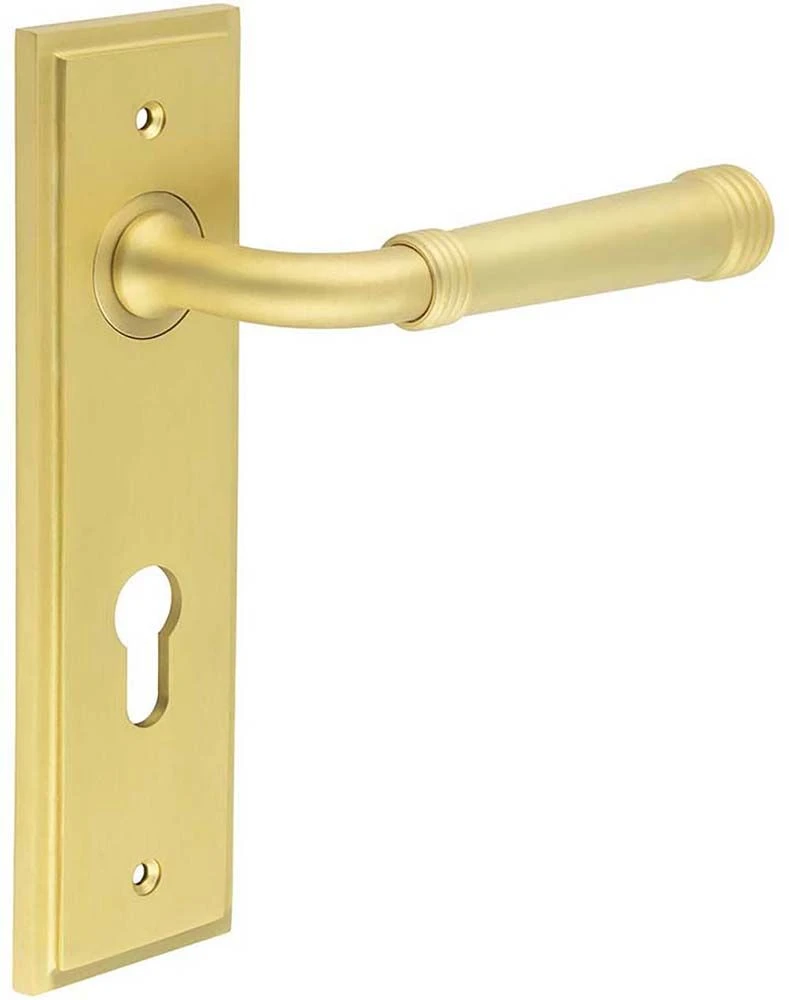 Classic Pattern Lever Handle With Ring Detail On A Large Rectangular Backplate - Satin Brass (Lacquered) - Image 5