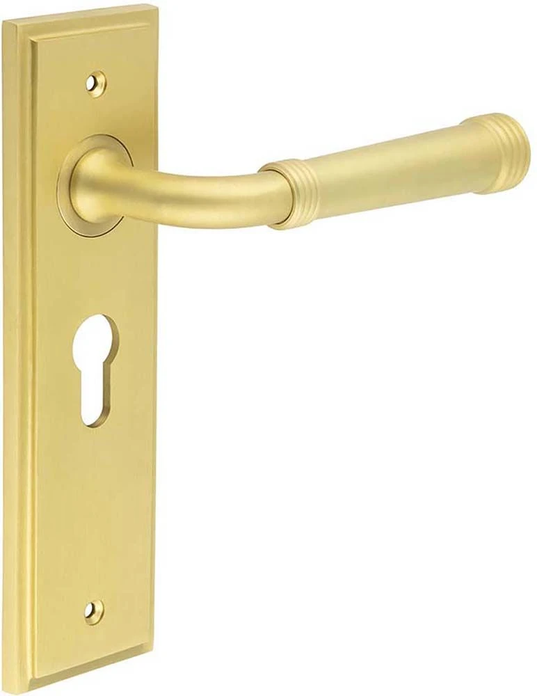 Classic Pattern Lever Handle With Ring Detail On A Large Rectangular Backplate - Satin Brass (Lacquered) - Image 3