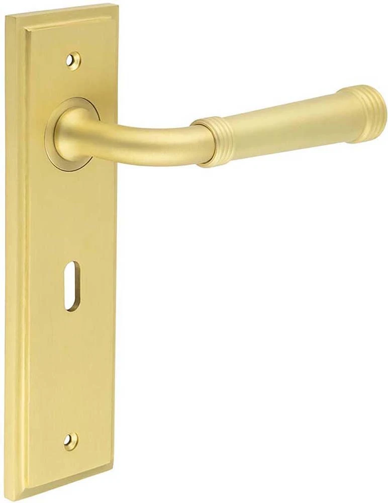 Classic Pattern Lever Handle With Ring Detail On A Large Rectangular Backplate - Satin Brass (Lacquered) - Image 2