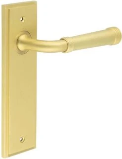 Classic Pattern Lever Handle With Ring Detail On A Large Rectangular Backplate - Satin Brass (Lacquered)