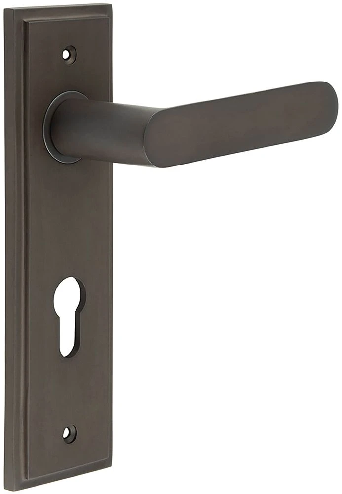 Flat Front Pattern Lever Handle With Rounded End On A Large Rectangular Backplate - Dark Bronze (Lacquered) - Image 5