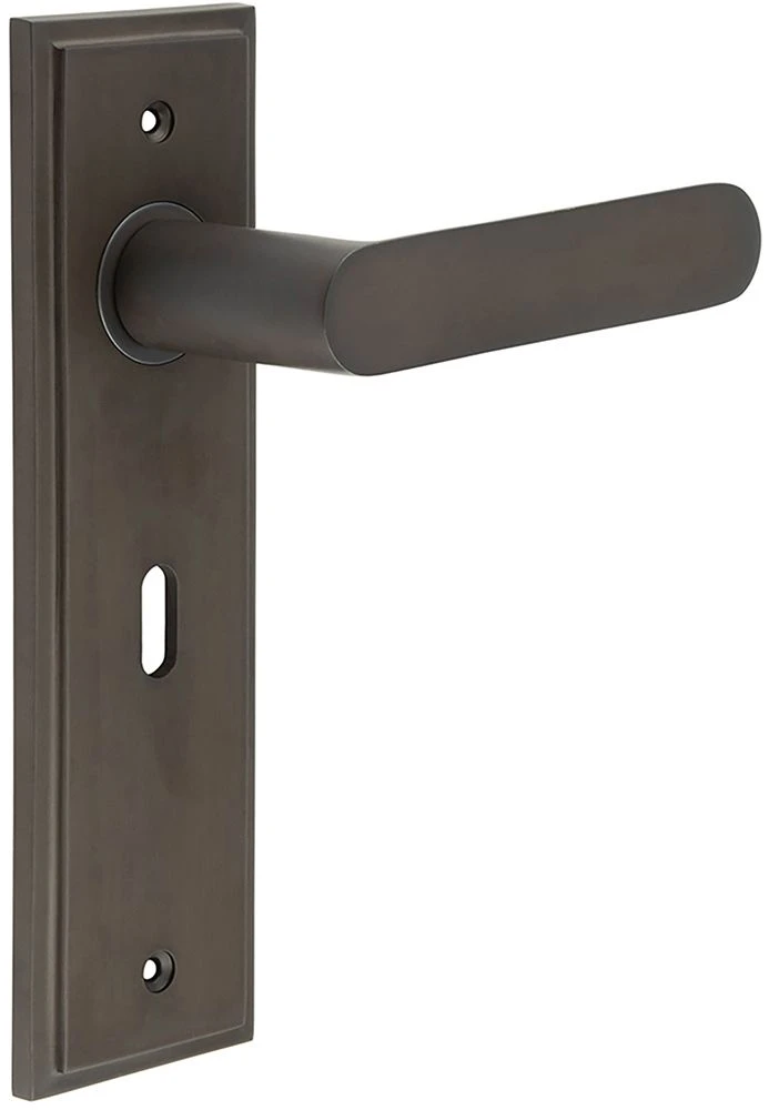 Flat Front Pattern Lever Handle With Rounded End On A Large Rectangular Backplate - Dark Bronze (Lacquered) - Image 2