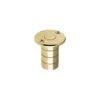 Flush Bolt Floor Socket - Dust Excluder - For Timber Fixing - 38mm X 20mm - Polished Brass (Lacquered)