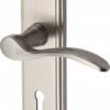 Howard Lever Door Handles On A Backplate - Satin Nickel