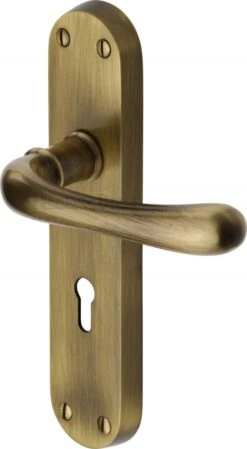 Luna Lever Door Handles On A Backplate - Antique Brass (Gloss Lacquered)
