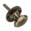 Oval Thumbturn For Use With Security Rack Bolts - Antique Brass (Gloss Lacquered)