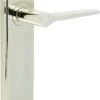 Tappered Pattern Lever Handle On A Large Rectangular Backplate - Polished Nickel