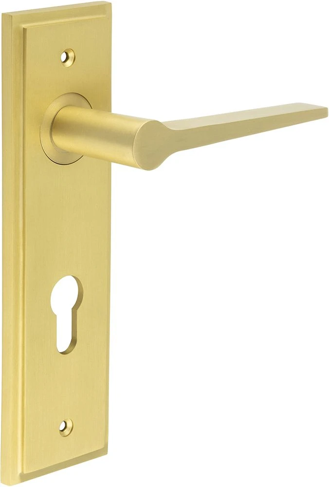 Tappered Pattern Lever Handle On A Large Rectangular Backplate - Satin Brass (Lacquered) - Image 4