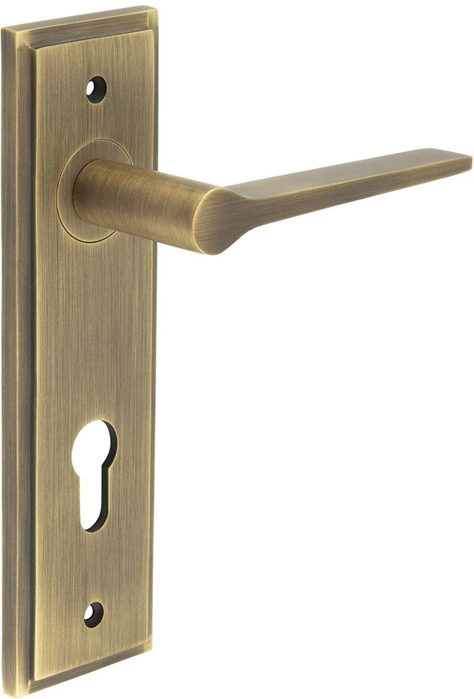 Tappered Pattern Lever Handle On A Large Rectangular Backplate - Antique Brass (Lacquered) - Image 6