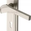 Tiffany Lever Door Handles On A Backplate - Satin Nickel