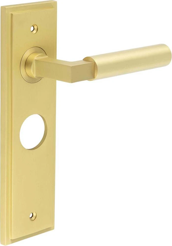 Tubular Pattern Lever Handle On A Large Rectangular Backplate - Satin Brass (Lacquered) - Image 4