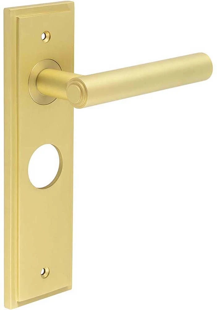 Tubular Pattern Lever Handle With Stepped Ends On A Large Rectangular Backplate - Satin Brass (Lacquered) - Image 4